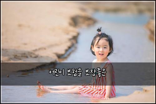 어린이 보험을 보장좋은
