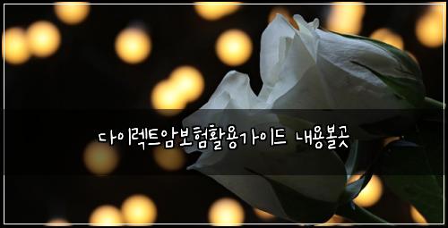 다이렉트암보험활용가이드 내용볼곳