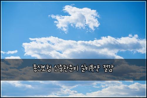 종신보험 신중한준비  실비특약 절감