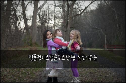 ๋ช
ํ์ ๊ธฐ๋ณดํ์์๋ณด์ฅํ ์ ํธ์ด์ ๋