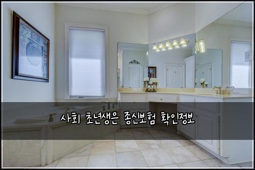 사회 초년생은 종신보험 확인정보 