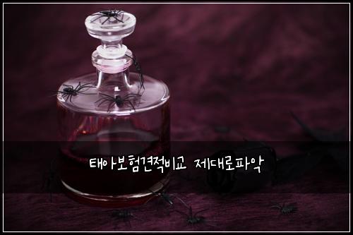 태아보험견적비교 제대로파악