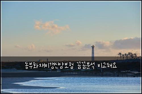 λλΆνμ¬λΉκ°±μ μ보ν κΌΌκΌΌλΆμ λΉκ΅ν΄μ