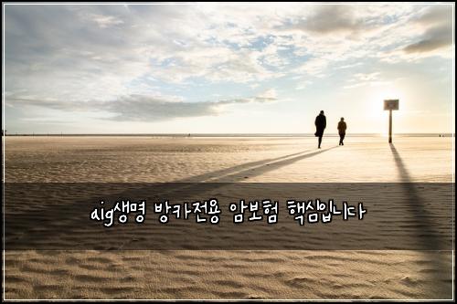 aig생명 방카전용 암보험 핵심입니다 