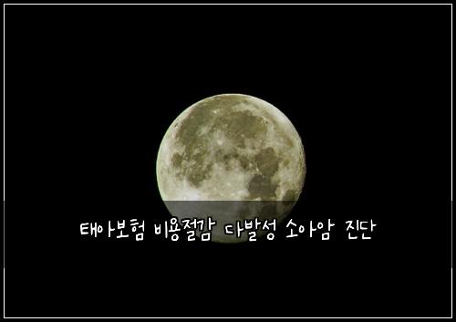 태아보험 비용절감  다발성 소아암 진단