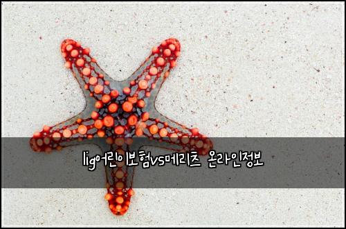 lig어린이보험vs메리츠 온라인정보