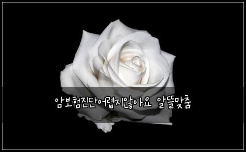 ์๋ณดํ์ง๋จ์ด๋ ต์ง์์์ ์๋ฐ๋ง์ถค