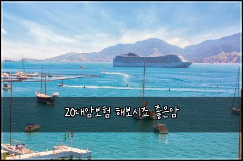 20대암보험 해보시죠  좋은암