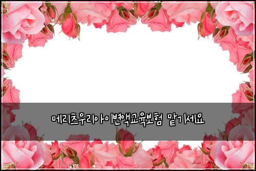 메리츠우리아이변액교육보험 맡기세요 