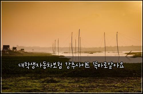 ๋ํ์์๋์ฐจ๋ณดํ ๊ฐ์ถ์ฌ์ดํธ ๋๋ฐ๋ก์์์