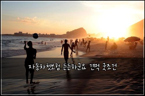 자동차첫보험 든든하군요  견적 굿조건