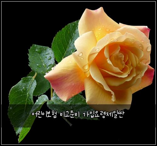 어린이보험 비교준비  가입요령제일싼