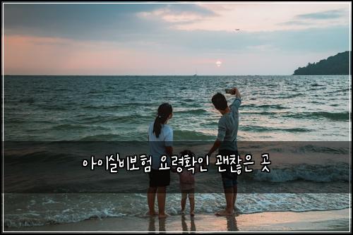 아이실비보험 요령확인  괜찮은 곳