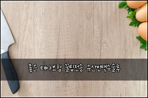 ์ข์ ํ์๋ณดํ ๊ฟํ์ ์ก ์ ์ฐ๋ฒ๋งฅ์์ ํ