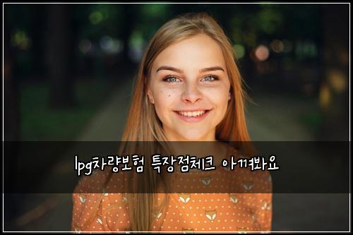 lpg차량보험 특장점체크  아껴봐요