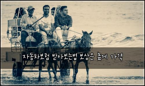 ์๋์ฐจ๋ณดํ ๋ฐ์๋ณด๋๋ฒ ๋ณด์์ ๋๊ฒ ๊ฐ๊ฒฉ