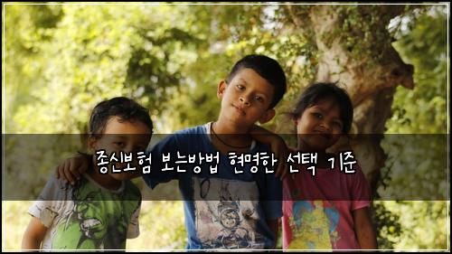종신보험 보는방법 현명한 선택 기준