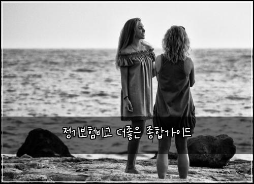 정기보험비교 더좋은 종합가이드