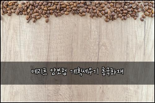 메리츠 암보험 계획세우기  흥국화재