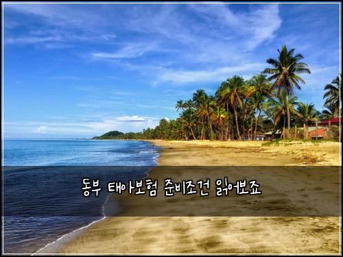 동부 태아보험 준비조건  읽어보죠