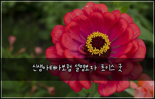신생아태아보험 설명보자  초이스 굿