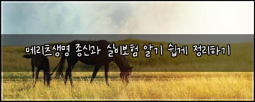 메리츠생명 종신과 실비보험 알기 쉽게 정리하기
