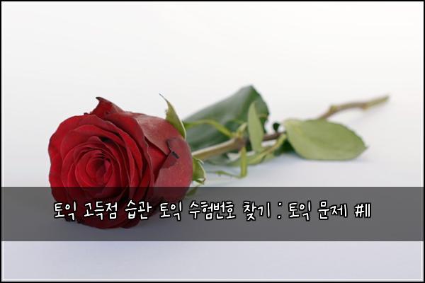 토익 고득점 습관 토익 수험번호 찾기 : 토익 문제 #11