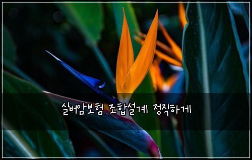 실버암보험 조합설계  정직하게