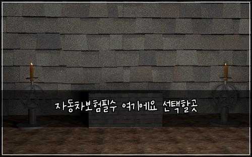 자동차보험필수 여기에요 선택할곳