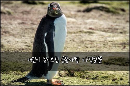 어린이 실비보험 공통사항  가격알뜰