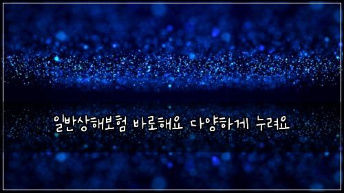 일반상해보험 바로해요  다양하게 누려요