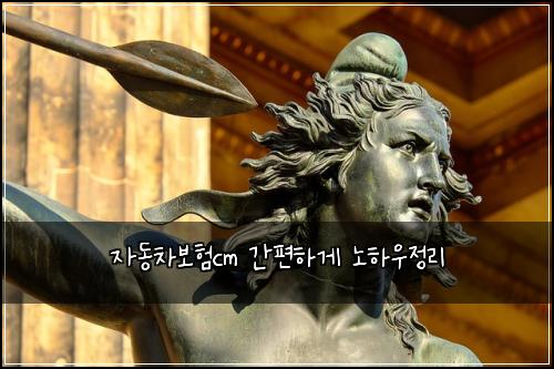 자동차보험cm 간편하게 노하우정리