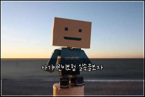 ์๊ธฐ์ด๋ฆฐ์ด๋ณดํ ์ค์์๋ณด์