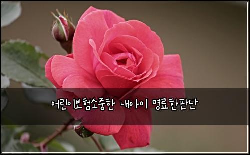 어린이보험소중한 내아이 명료한판단