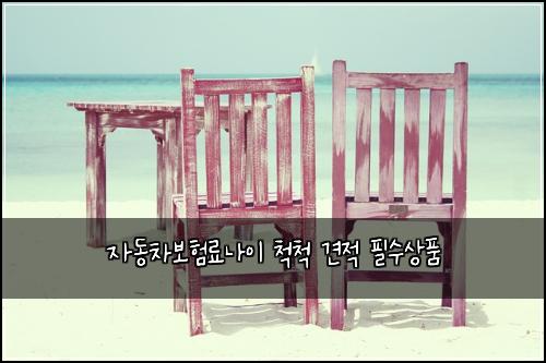 자동차보험료나이 척척 견적 필수상품