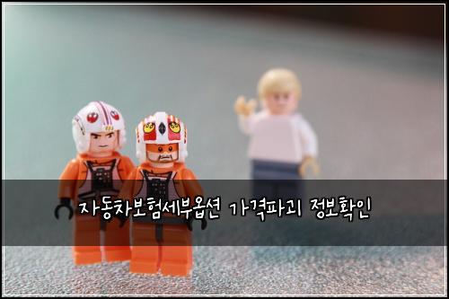 ์๋์ฐจ๋ณดํ์ธ๋ถ์ต์
๊ฐ๊ฒฉํ๊ดด ์ ๋ณดํ์ธ