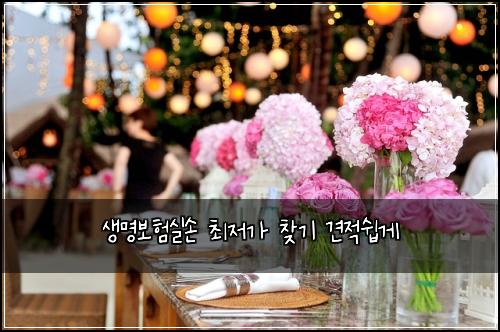 생명보험실손 최저가 찾기 견적쉽게