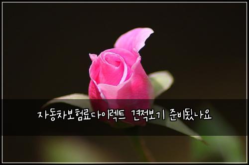 자동차보험료다이렉트 견적보기 준비됬나요