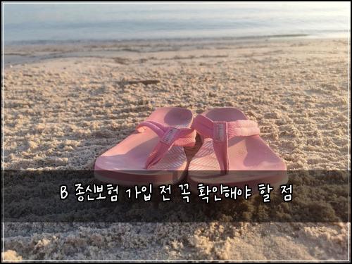 B 종신보험 가입 전 꼭 확인해야 할 점