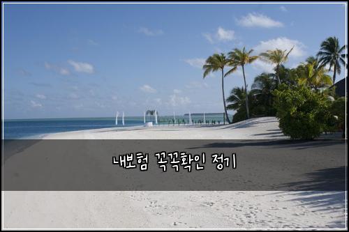 ๋ด๋ณดํ ๊ผญ๊ผญํ์ธ ์ ๊ธฐ