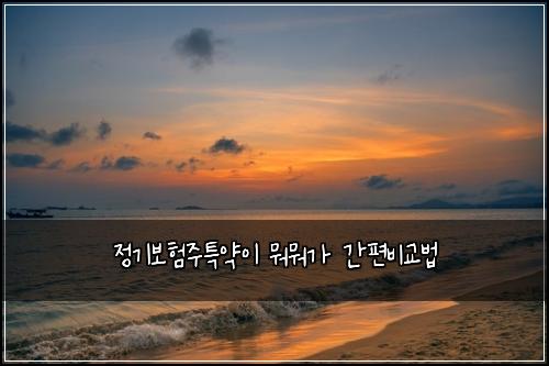 정기보험주특약이 뭐뭐가 간편비교법