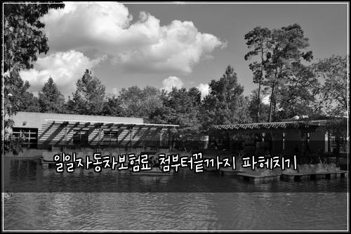 일일자동차보험료 첨부터끝까지 파헤치기