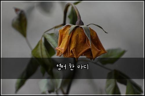 영어 한 마디
