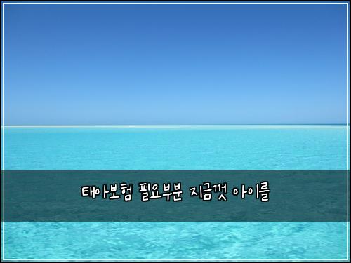 태아보험 필요부분  지금껏 아이를