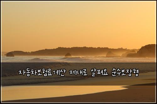 ์๋์ฐจ๋ณดํ๋ฃ๊ณ์ฐ ์ ๋๋ก ์ดํด์ ์์๋ณด์ฅํ