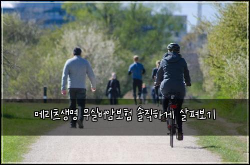 메리츠생명 무실버암보험 솔직하게 살펴보기