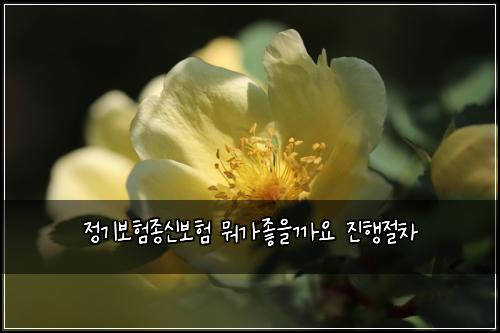 정기보험종신보험 뭐가좋을까요 진행절차