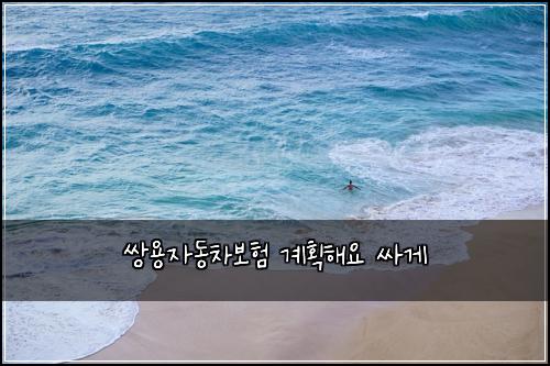 ์์ฉ์๋์ฐจ๋ณดํ ๊ณํํด์ ์ธ๊ฒ