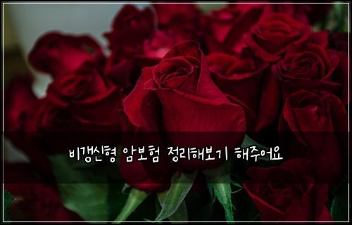 비갱신형 암보험 정리해보기  해주어요