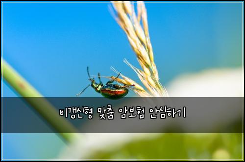 비갱신형 맞춤 암보험 안심하기 